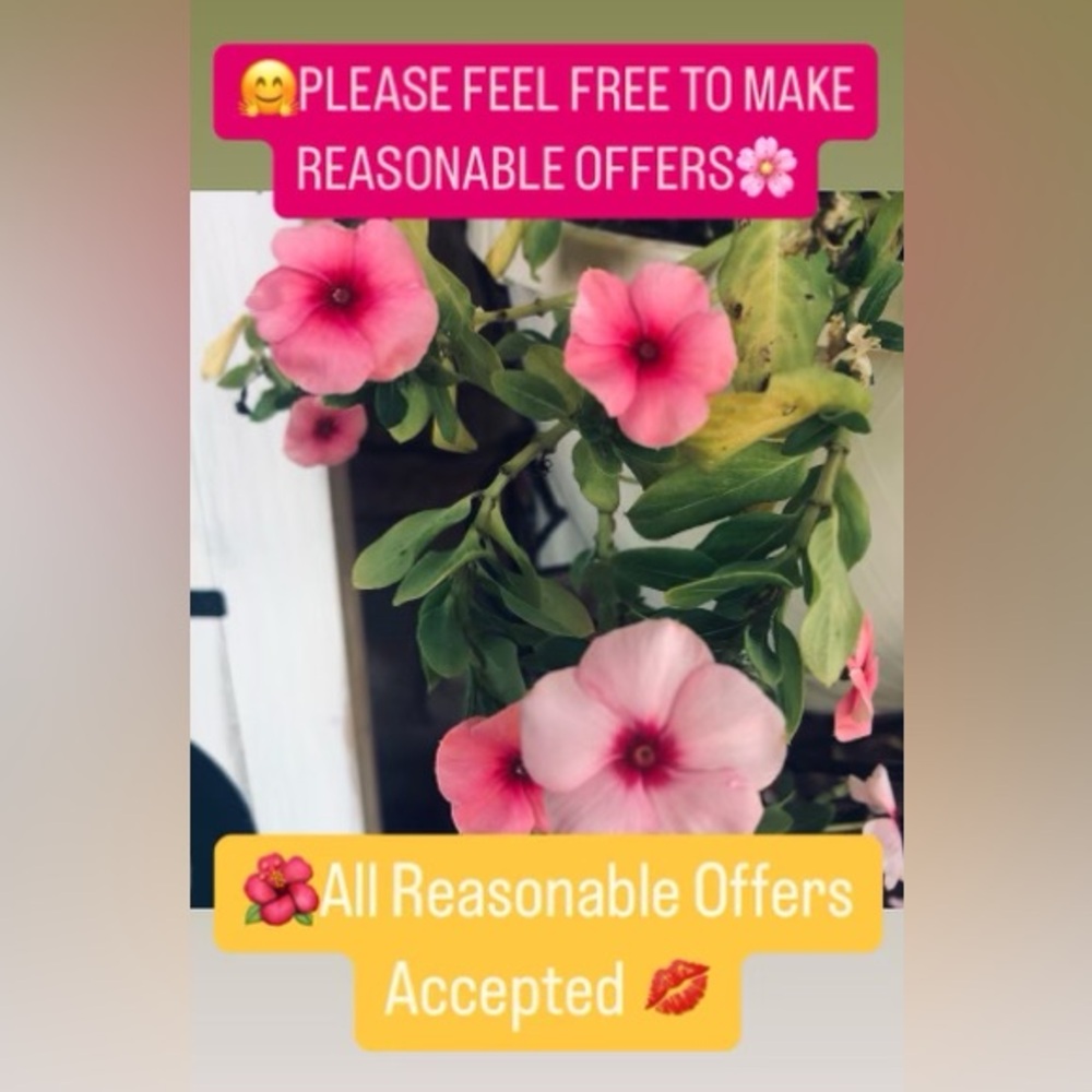 🌼 IF YOU SEE ANYTHING AND YOU WANT IT MAKE AN OFFER FRIEND!🤗